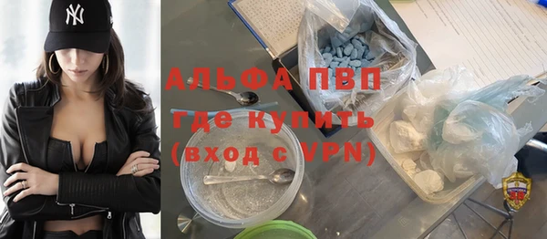 амф Бородино