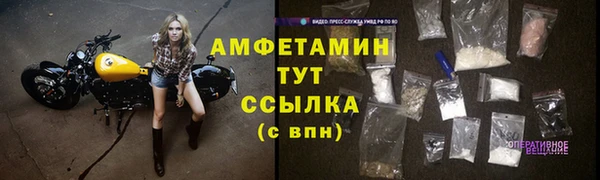 амф Бородино