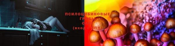амф Бородино