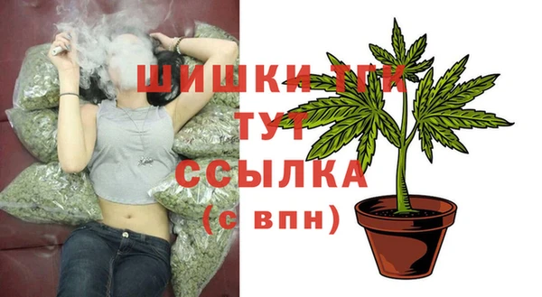амф Бородино