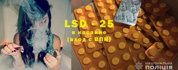 амф Бородино